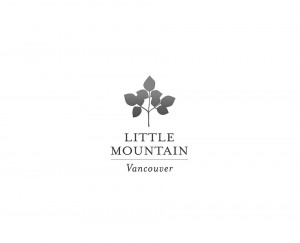 Little Mountain logo